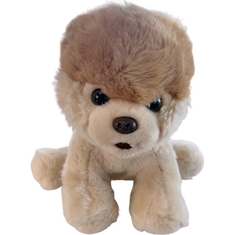 GUND Boo The Worlds cutest dog. 9”